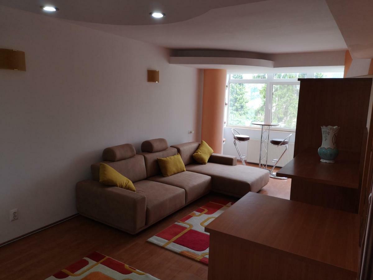 Central Apartament Predeal Exterior photo